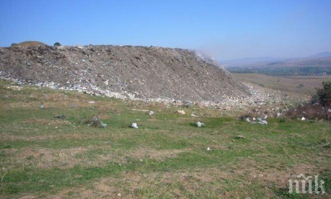 Залесяват два терена в Стара Загора

