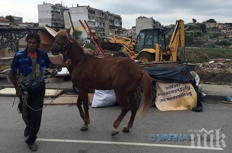 Днес е Международен ден на ромите