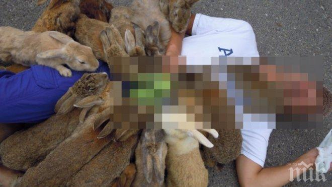 Най-жестоките нападения върху хора от животни! Невероятна колекция снимки!