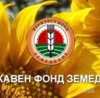 Колко точно България губи от Европейските фондове за земеделие ще стане ясно на 31 юни