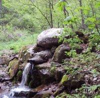 Извор лекува с 24-каратово злато