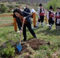 Десислава Танева: Отчитаме най-добрата година от създаването на Държавните горски предприятия до днес