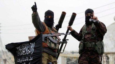 главатар терористите бил ликвидиран сирийската авиация провинцията идлиб