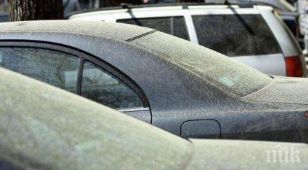 дъждовете нас прах сахара снимки