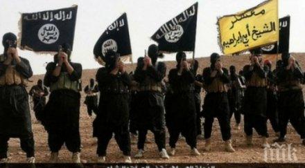 даеш попълва редиците пенсионери