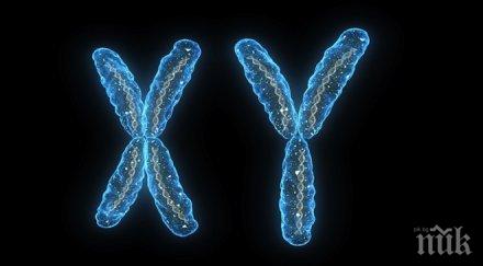 липсваща хромозома разделила хората неандерталците