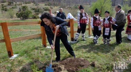 десислава танева отчитаме добрата година създаването държавните горски предприятия