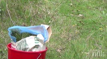 пик студентска залесителна акция благоевград