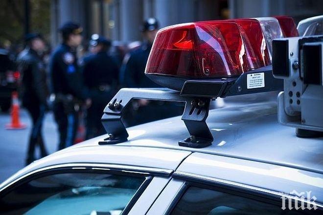 Оксфордски учен и арт дилър убит в дома си