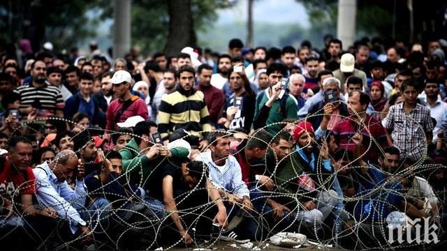 Става страшно! Близо 700 мигранти, скандиращи Аллах Акбар, опитаха да нахлуят в Македония! 