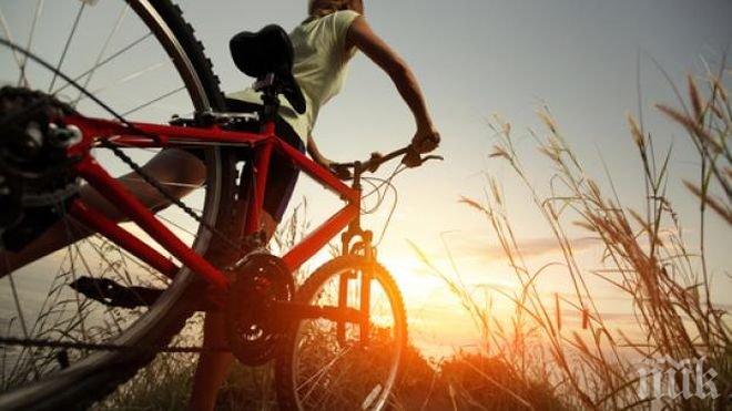 Министър, кмет и олимпийски шампион поведоха велошествие в Пловдив