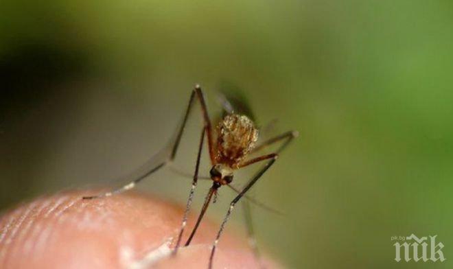 Пръскат с моторен делтапланер срещу комари в Бургас
