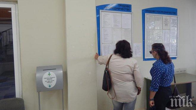 250 работни места са разкрити през месец март в Търговищко