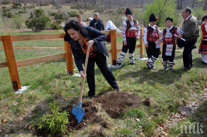 Десислава Танева: Отчитаме най-добрата година от създаването на Държавните горски предприятия до днес