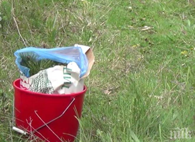 ПИК TV: Студентска залесителна акция край Благоевград