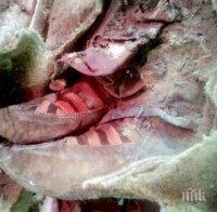 Дали пътуването във времето е възможно? Учени откриха мумия на 1500 години, обута в маратонки „Адидас”