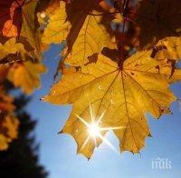 Синоптиците от БАН: Половин България ще бъде огрявана от слънце, дъжд ще мъчи източната част