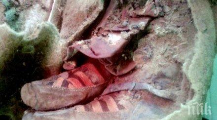 дали пътуването времето възможно учени откриха мумия 1500 години обута маратонки адидас