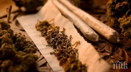 полицаи откриха половдин килограм трева ауди тракия