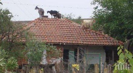 286 къщи каменни покриви сръбското село гостуша