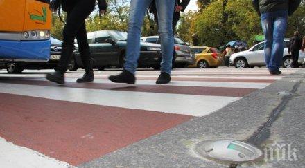 кола отнесе жена зебра