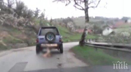 пореден шофьор влачи куче колата