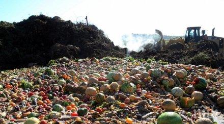 грозно вместо даряват хипермаркетите изхвърлят тонове храна било изгодно
