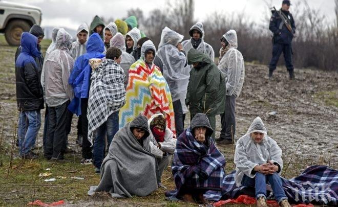 5800 непълнолетни мигранти са изчезнали в Германия през 2015 г. 