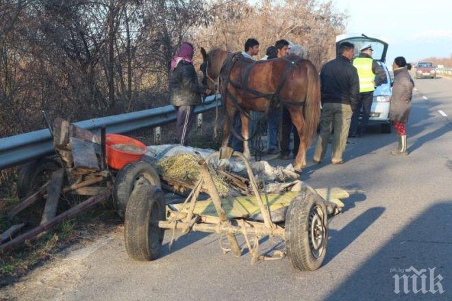 Куриоз! Всички каруци в Поморие отиват на технически преглед
