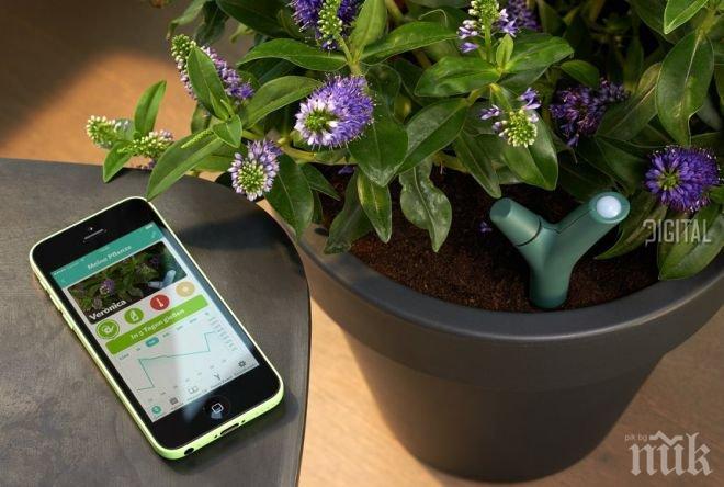 Биологична батерия позволява да зареждаме смартфоните си от растения