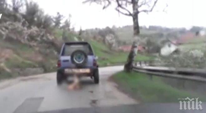 Пореден шофьор влачи куче с колата си