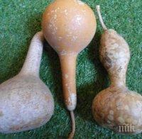 Психично болен от Мездра пробва да насили жена с кратуни 