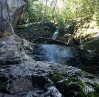 Извор в Северозапада лекува болен стомах с 24-каратово злато!