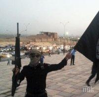 „Ислямска държава“ е унищожила портите на древния град Ниневия край Мосул