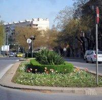 Препитват пловдивския кмет за правопис и история