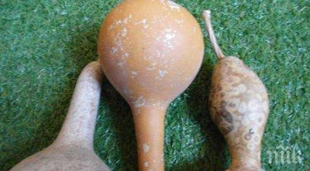 психично болен мездра пробва насили жена кратуни