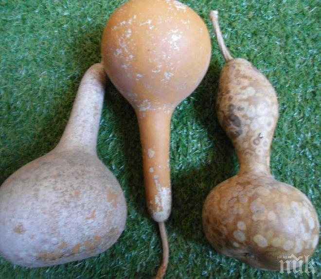 Психично болен от Мездра пробва да насили жена с кратуни 