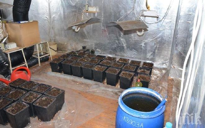 Разбиха схема за разпространение на наркотици в Търговище
