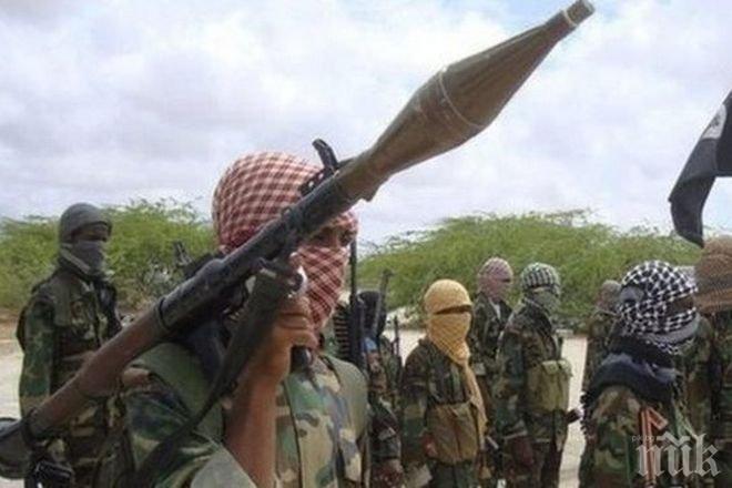 Дванадесет екстремисти са убити при две атаки с дрони в Сомалия