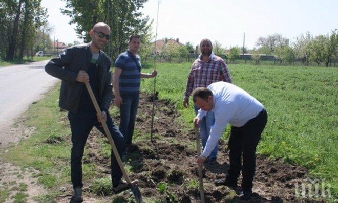 60 тополи в Тополчане залесиха предприемачи ГЕРБ – Сливен
