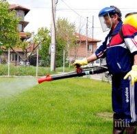 Пръскат тревните площи срещу кърлежи и бълхи