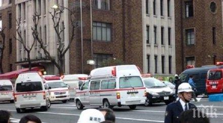 девет души загинали 780 ранени вследствие земетресението япония