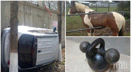 докато гледам снимки задавам два въпроса