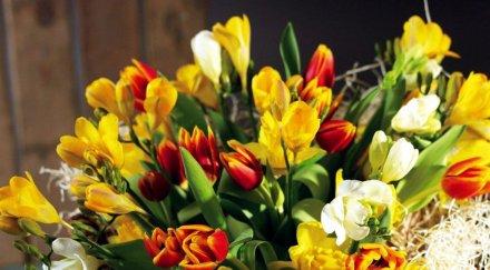 фестивалът изкуствата празнува цветница великден