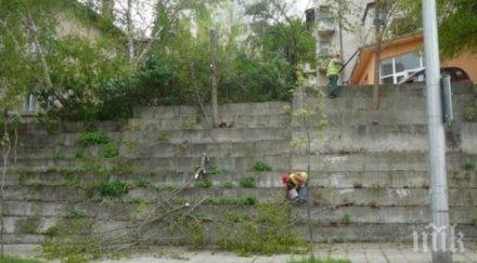 укрепиха бетонни стени булеварда гранд хотел шумен