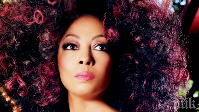 Даяна Рос претърпя пътна катастрофа