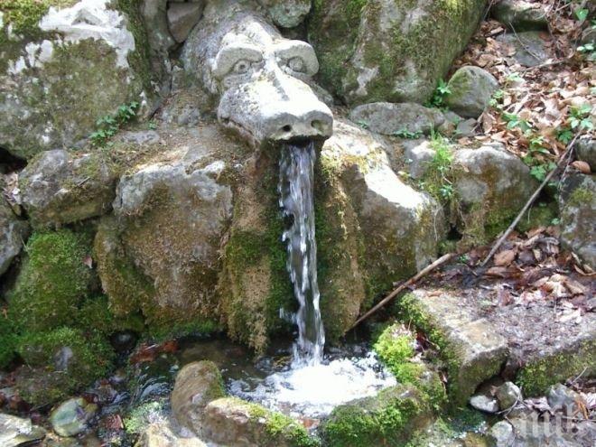САМО В ПИК И ЧАС ПИК! Внимание! Водата на Витоша - отровна