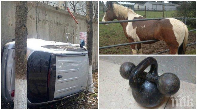 Докато гледам тези снимки си задавам два въпроса: Как и Защо???