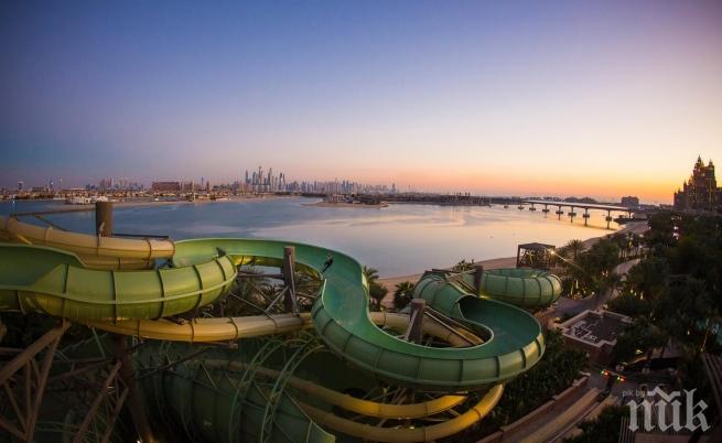 Мечтите на скейтърите се сбъдват
