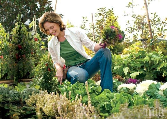 Поддържането на градина е полезно за здравето